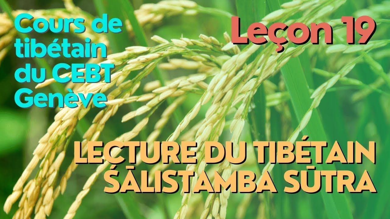 Cours de tibétain "pousse de riz" - leçon 19