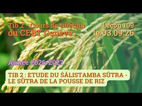 Tib 2 - Cours de tibétain ”pousse de riz” -  leçon 109, le 03.09.26