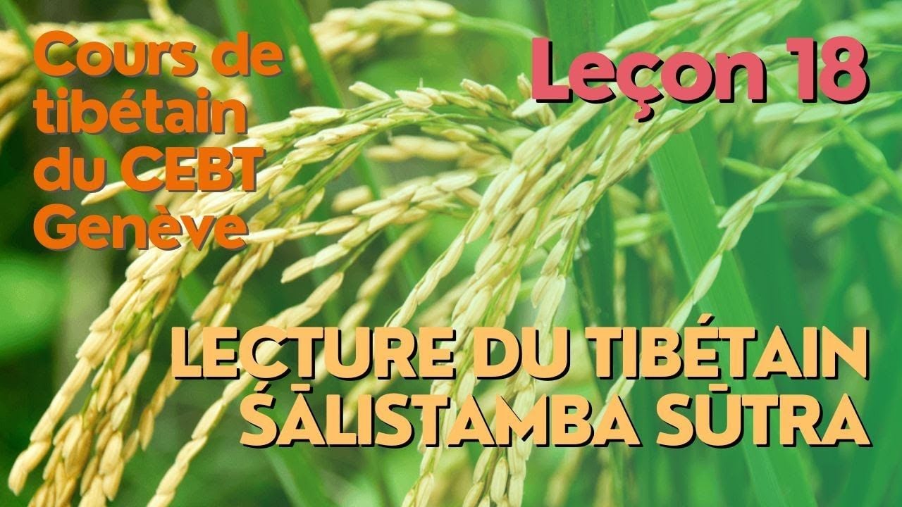 Cours de tibétain "pousse de riz" - leçon 18