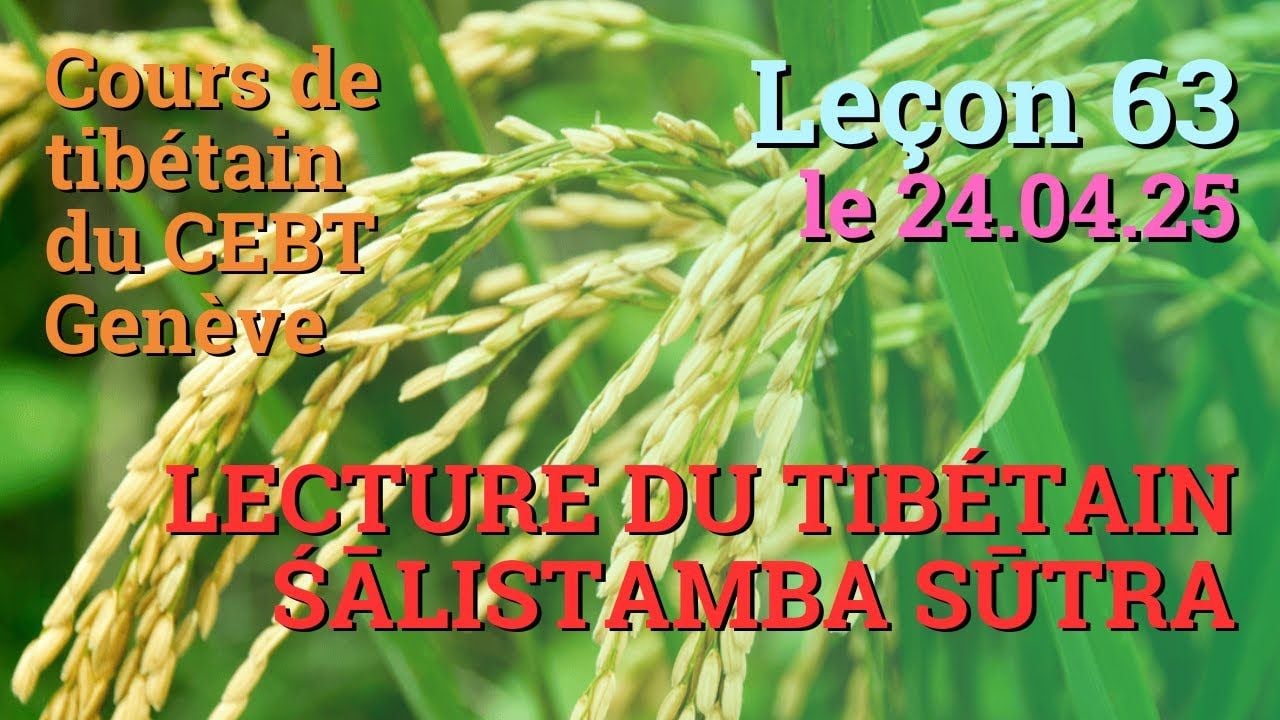 Tib 2 - Cours de tibétain ”pousse de riz” -  leçon 63, le 24.04.25