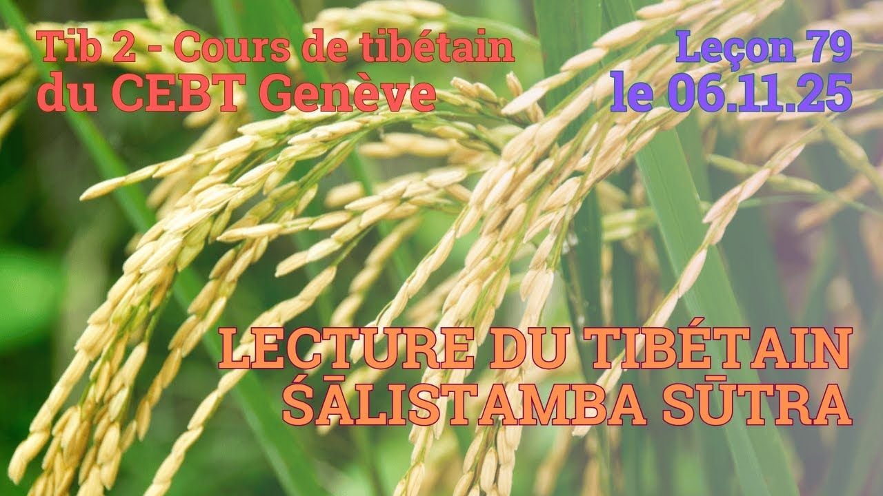 Tib 2 - Cours de tibétain ”pousse de riz” -  leçon 79, le 06.11.25