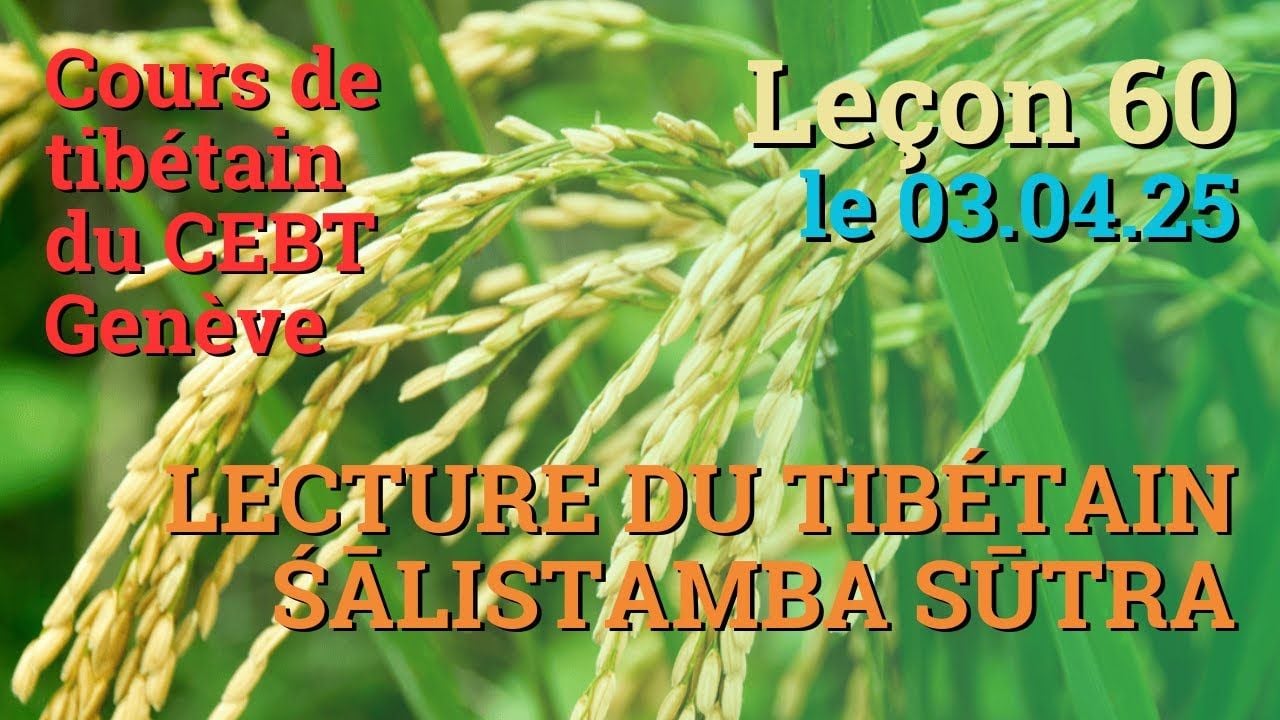 Tib 2 - Cours de tibétain ”pousse de riz” - leçon 60, le 03.04.25
