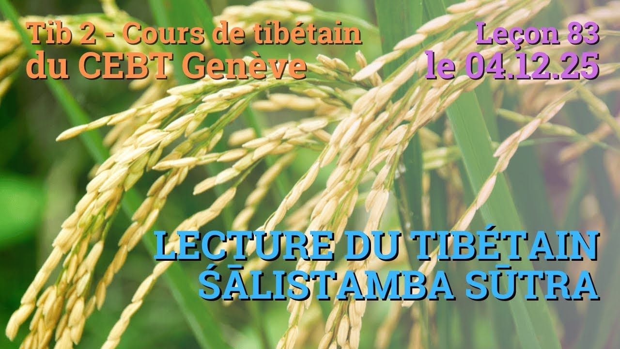 Tib 2   Cours de tibétain ”pousse de riz”    leçon 83, le 04 12 25