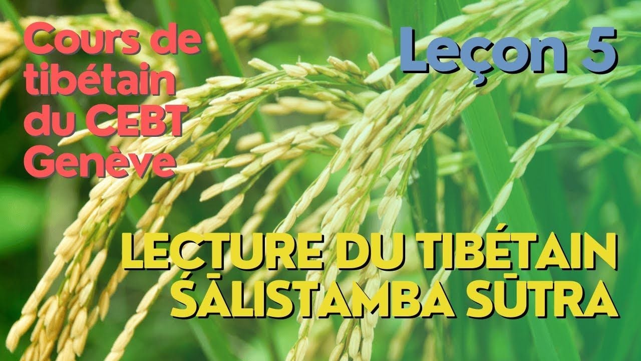 Cours de tibétain ”pousse de riz” - groupe lecture - leçon 5