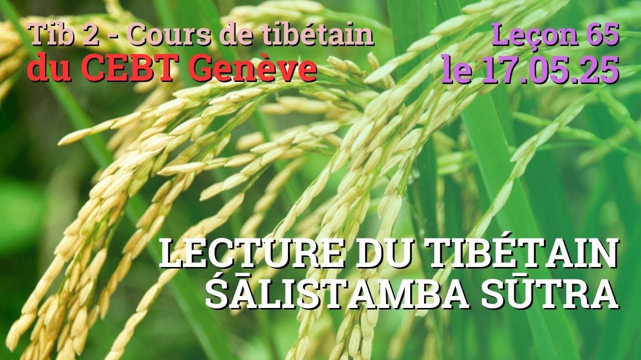 Tib 2 - Cours de tibétain ”pousse de riz” -  leçon 65, le 15.05.25
