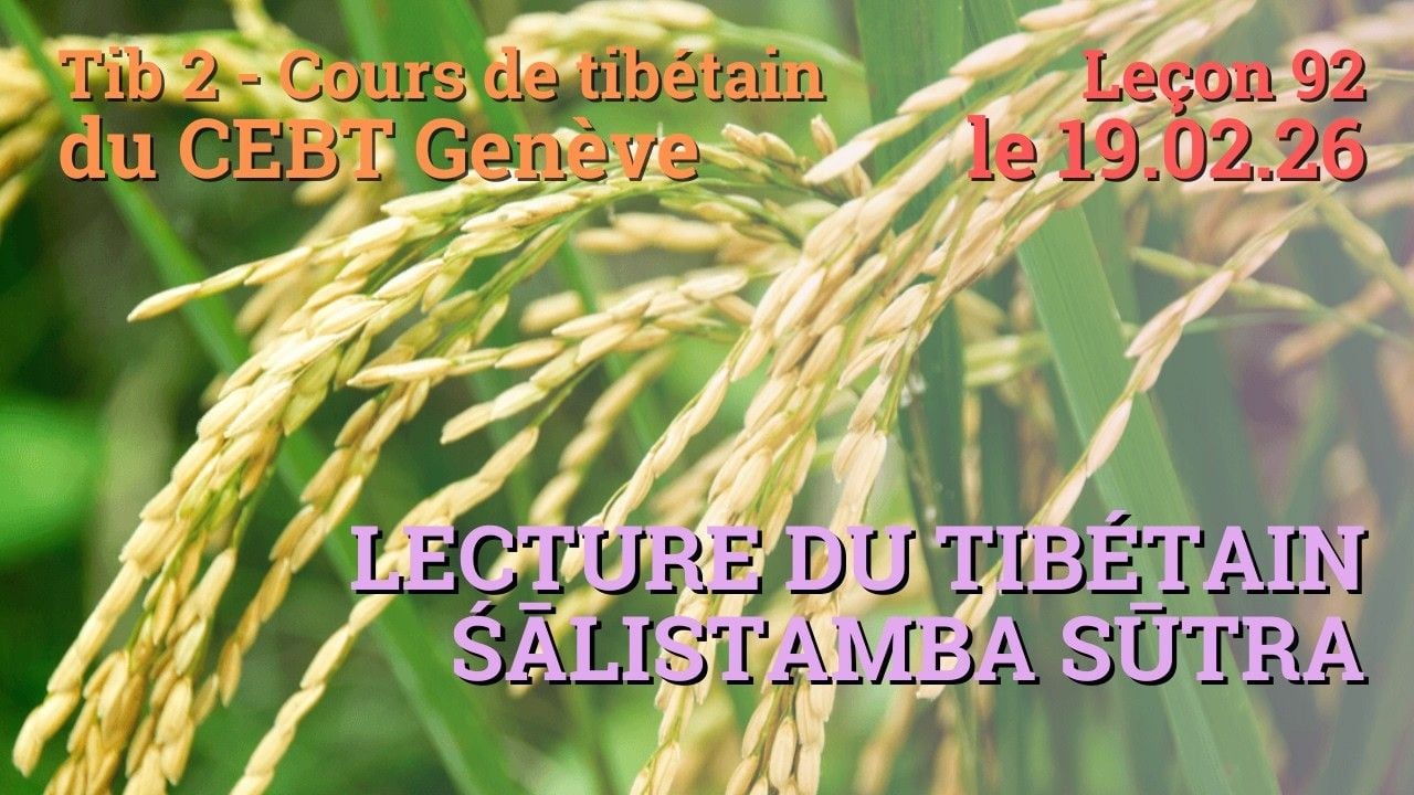 Tib 2 - Cours de tibétain ”pousse de riz” -  leçon 92, le 19.02.26