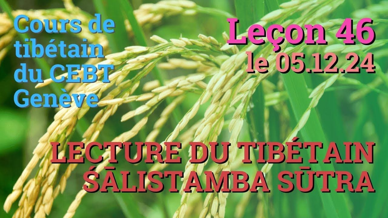 Cours de tibétain ”pousse de riz” -  leçon 46, le 05.12.24