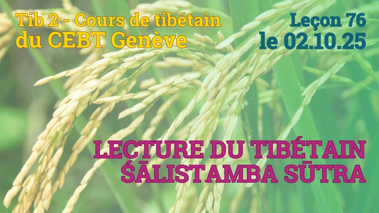 Tib 2 - Cours de tibétain ”pousse de riz” -  leçon 76, le 02.10.25