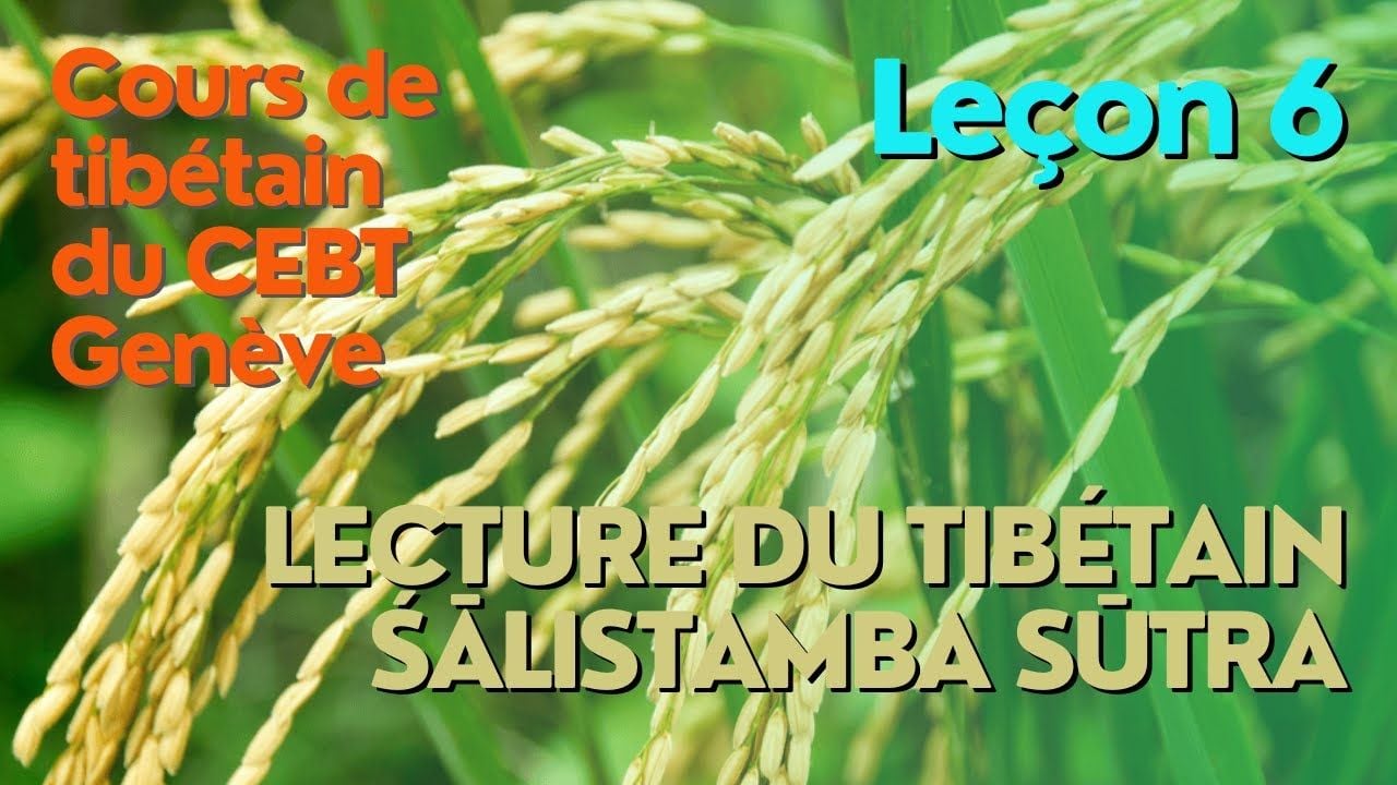Cours de tibétain - lecture "pousse de riz" - leçon 6