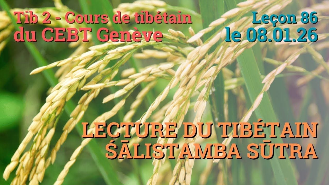 Tib 2 - Cours de tibétain ”pousse de riz” -  leçon 86, le 08.01.26