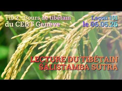 Tib 2 - Cours de tibétain ”pousse de riz” -  leçon 101, le 06.05.26