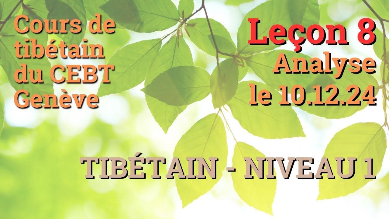 Cours de tibétain débutant leçon 8 - analyse - le 10.12.24