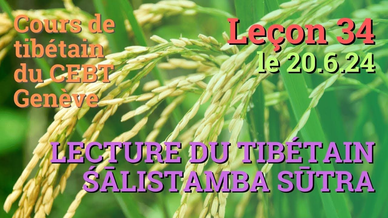 Cours de tibétain ”refuge et 4 illimitées” - leçon 34 - le 26.6.24