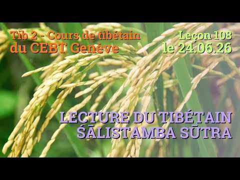 Tib 2 - Tibetan Course "Rice Sprout" - Lesson 108, 06/26/24