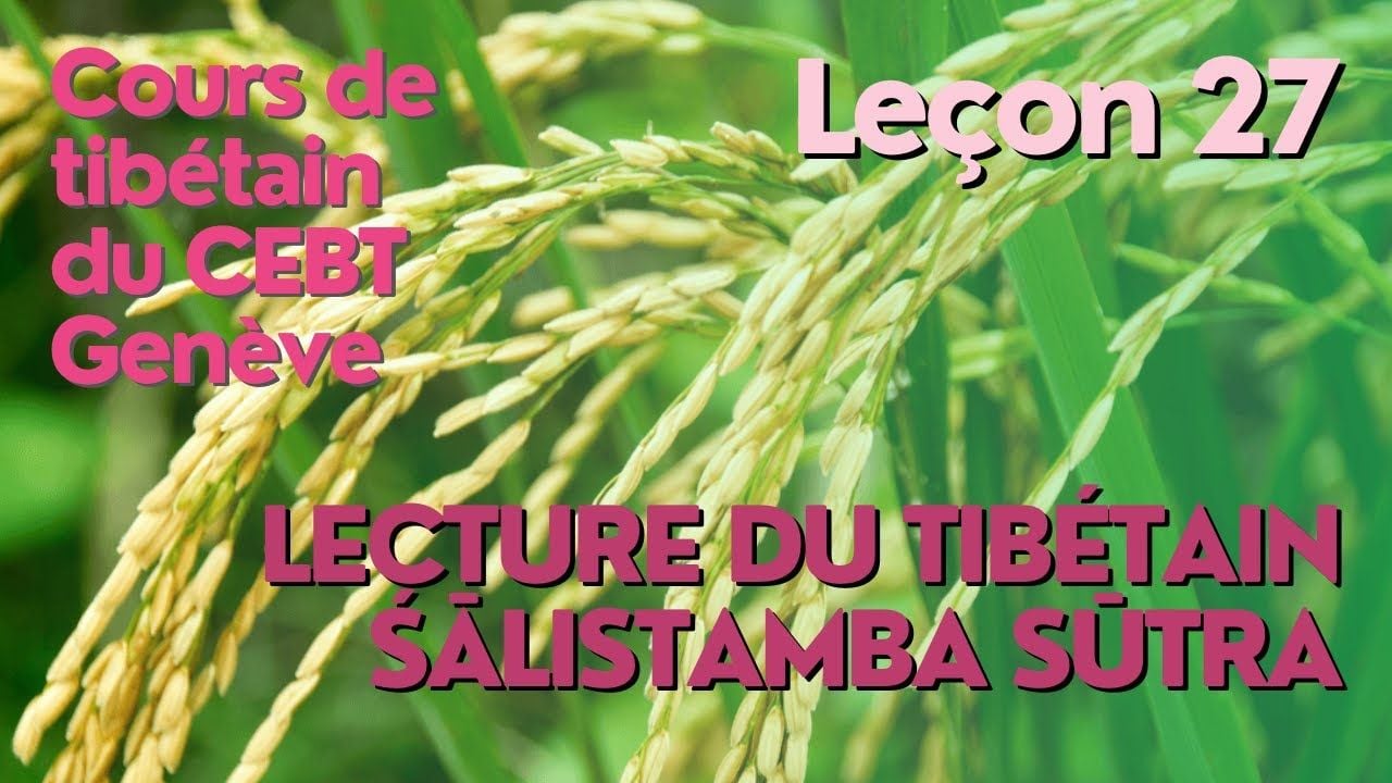 Cours de tibétain ”pousse de riz” - leçon 26