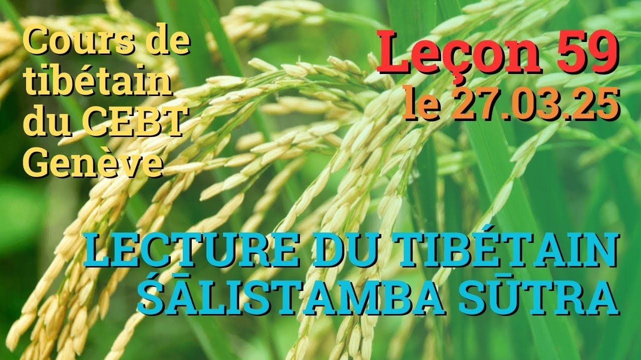 Tib 2 - Cours de tibétain ”pousse de riz” - leçon 59, le 27.03.25