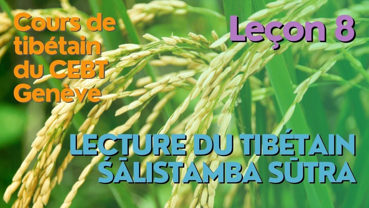 Cours de tibétain ”pousse de riz” -  leçon 8