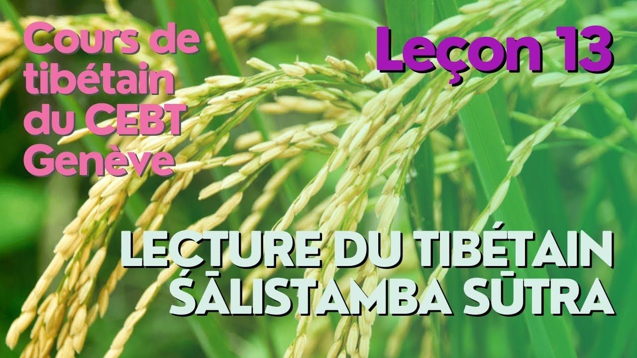 Cours de tibétain ”pousse de riz” -  leçon 13