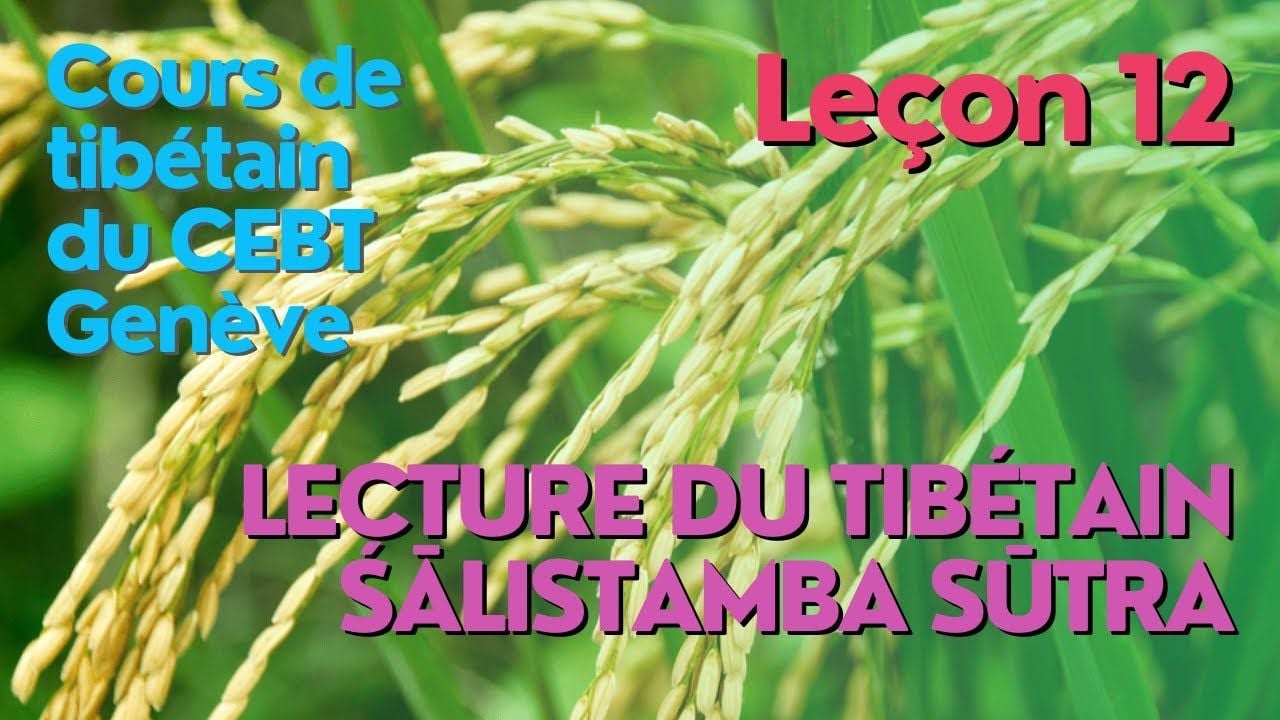 Cours de tibétain ”pousse de riz” - leçon 12