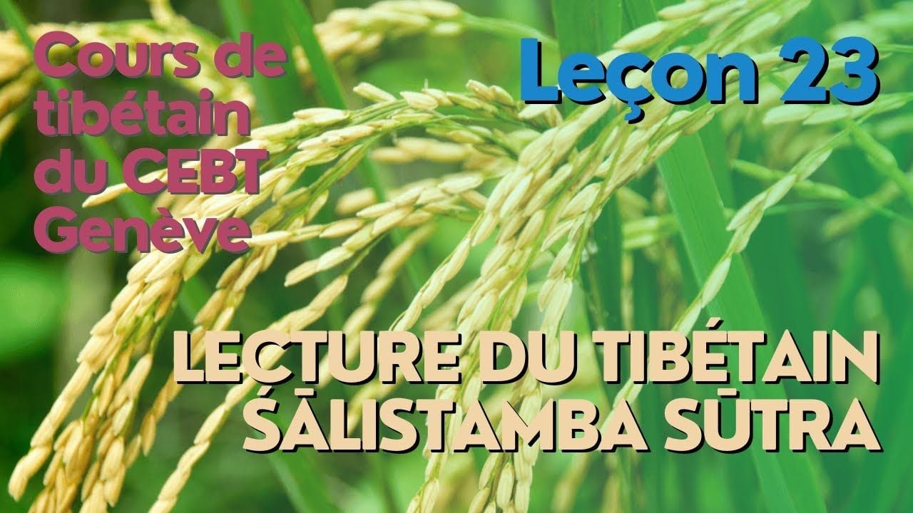 Cours de tibétain ”pousse de riz” -  leçon 23