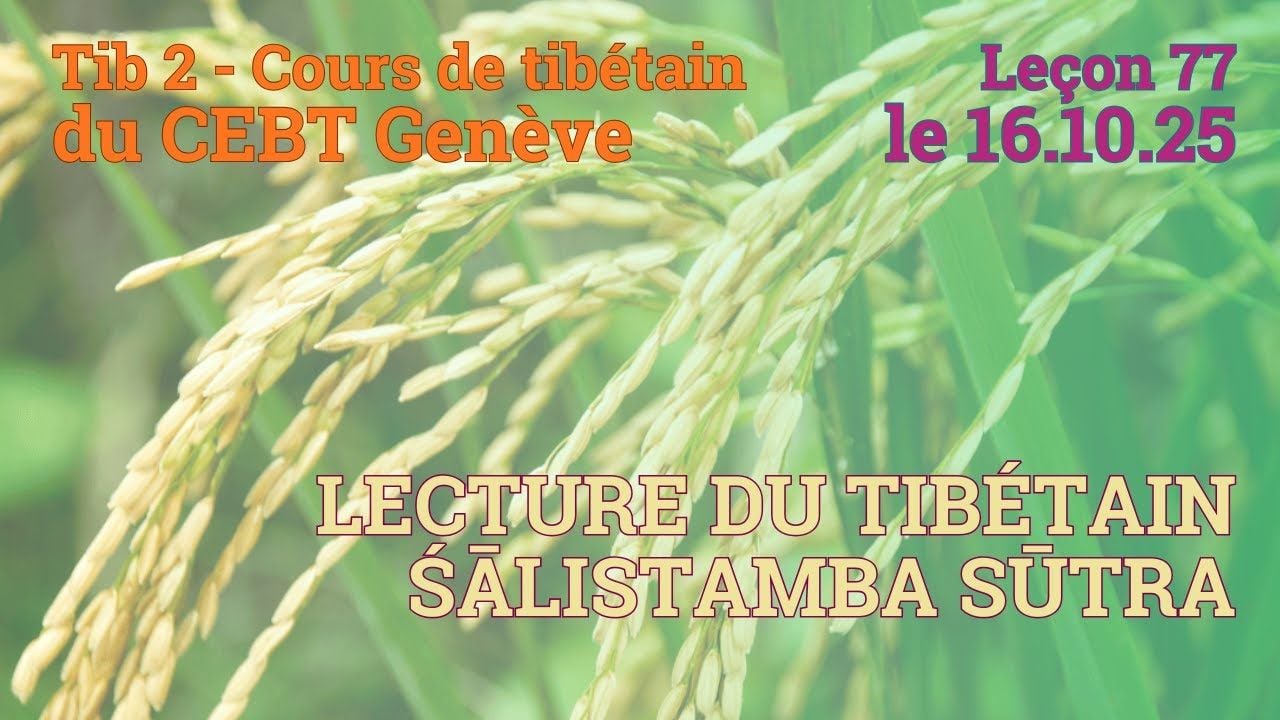 Tib 2 - Cours de tibétain ”pousse de riz” - leçon 77, le 16.10.25