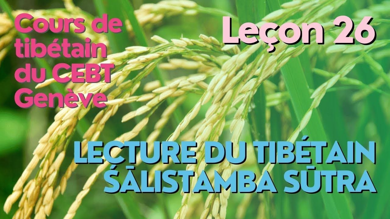 Cours de tibétain ”pousse de riz” - leçon 25