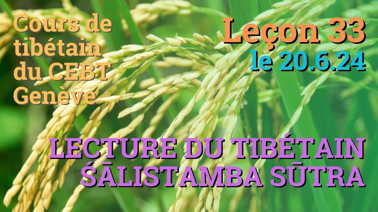 Cours de tibétain ”pousse de riz” - leçon 33 le 20.6.24