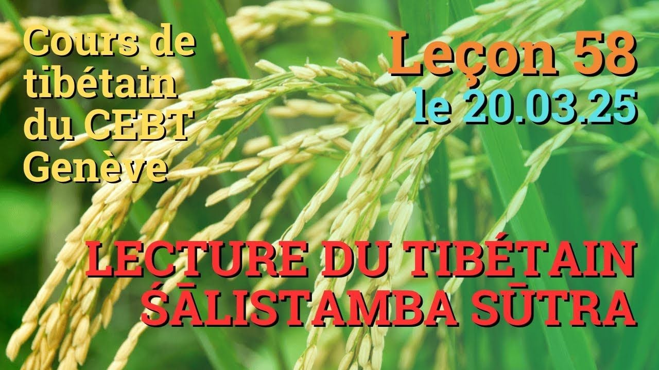 Cours de tibétain ”pousse de riz” - leçon 58, le 20.03.25
