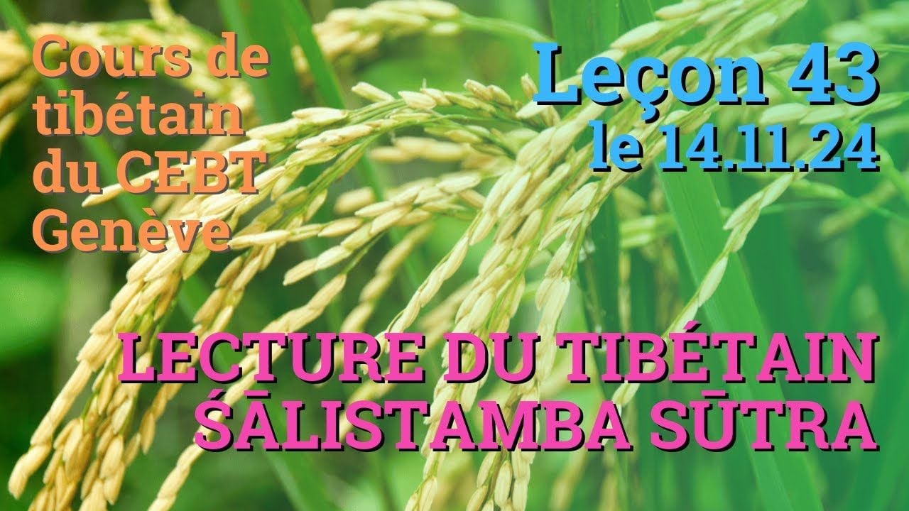 Cours de tibétain ”pousse de riz” - leçon 43, le 14.11.24