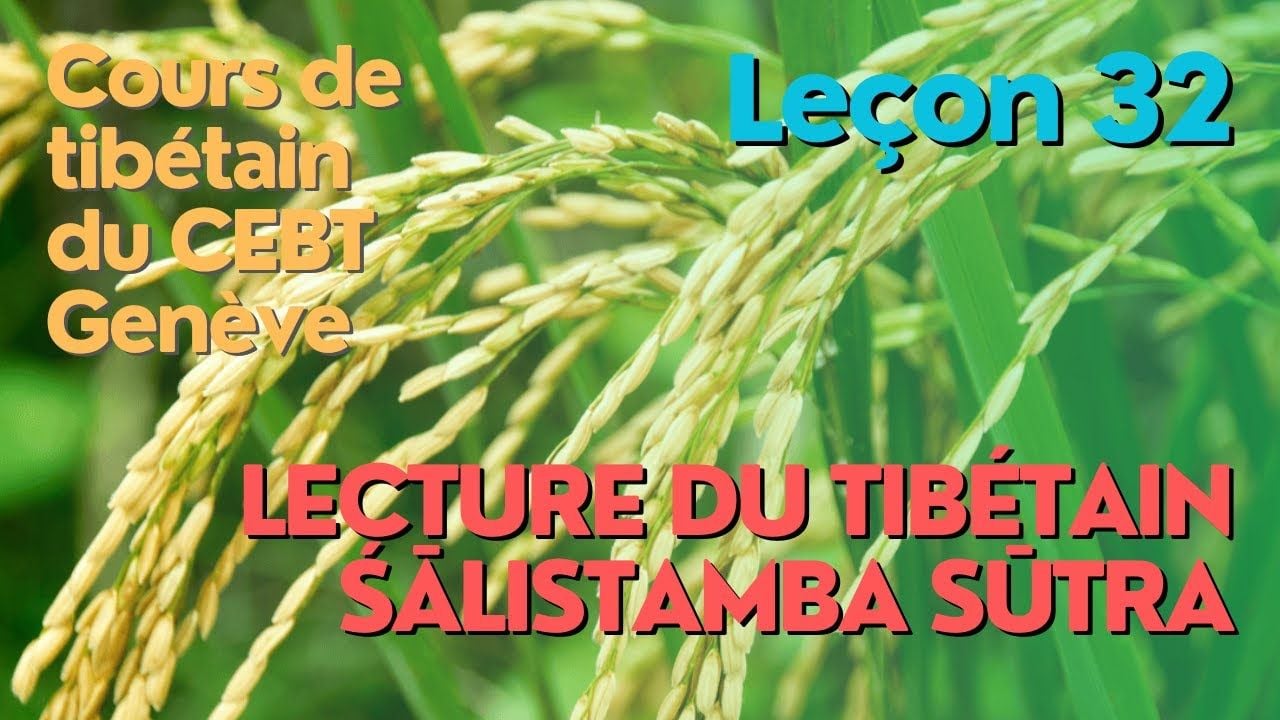 Cours de tibétain ”pousse de riz” leçon 32