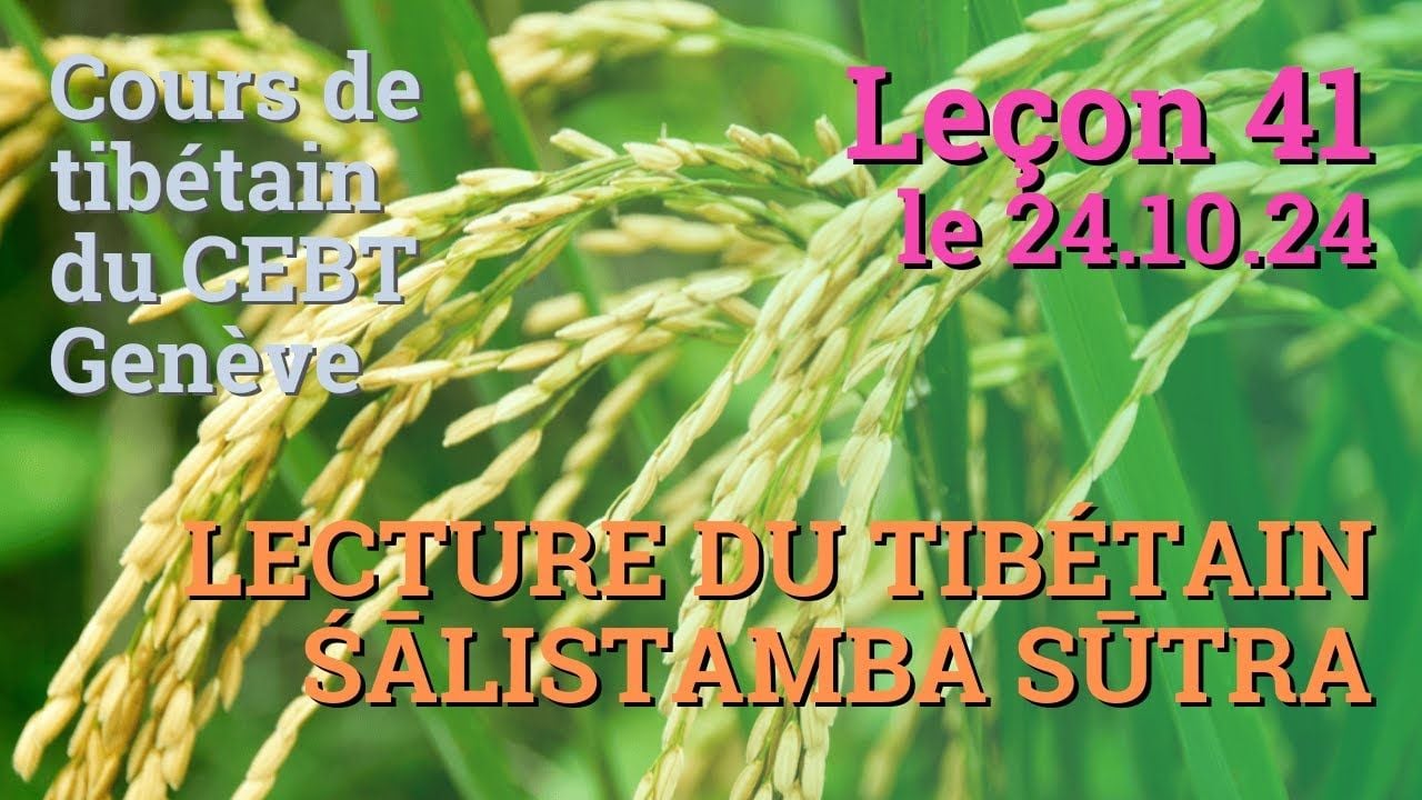 Cours de tibétain ”pousse de riz” - leçon 41, le 24.10.24