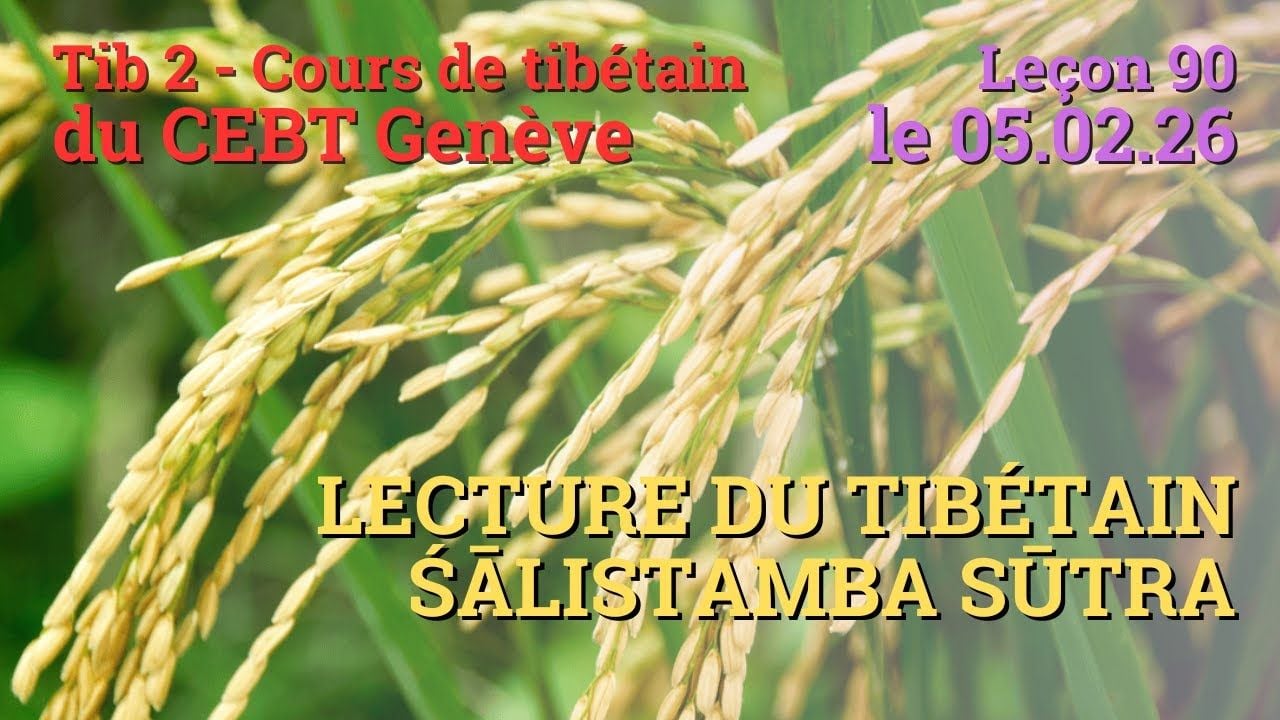 Tib 2 - Cours de tibétain ”pousse de riz” -  leçon 90, le 05.02.26