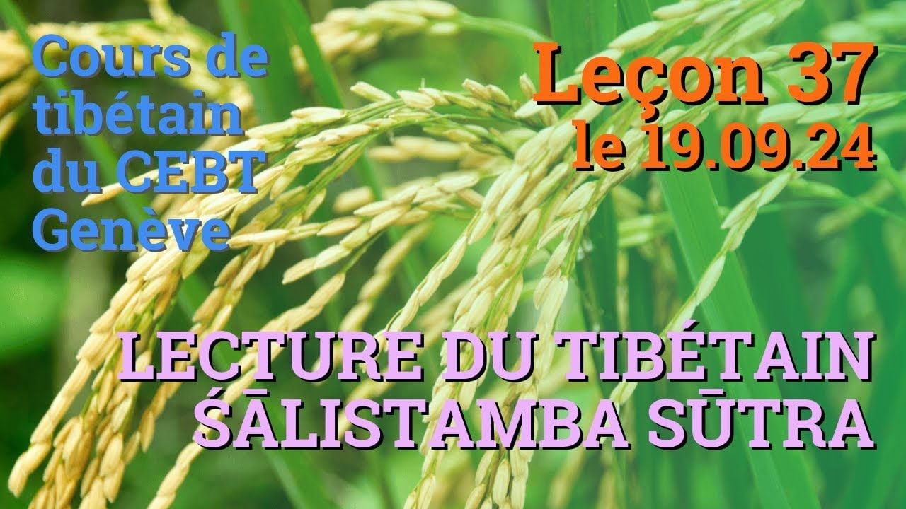 Cours de tibétain ”pousse de riz” -  leçon 37, le 19.9.24