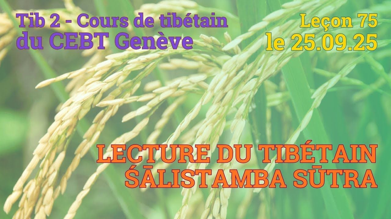 Tib 2 - Cours de tibétain ”pousse de riz” -  leçon 75, le 25.09.25