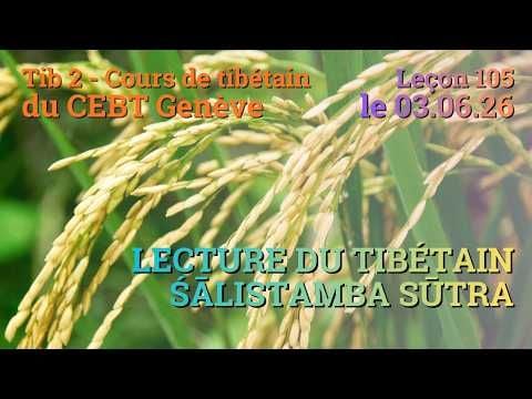 Tib 2 - Cours de tibétain ”pousse de riz” -  leçon 105, le 03.06.26
