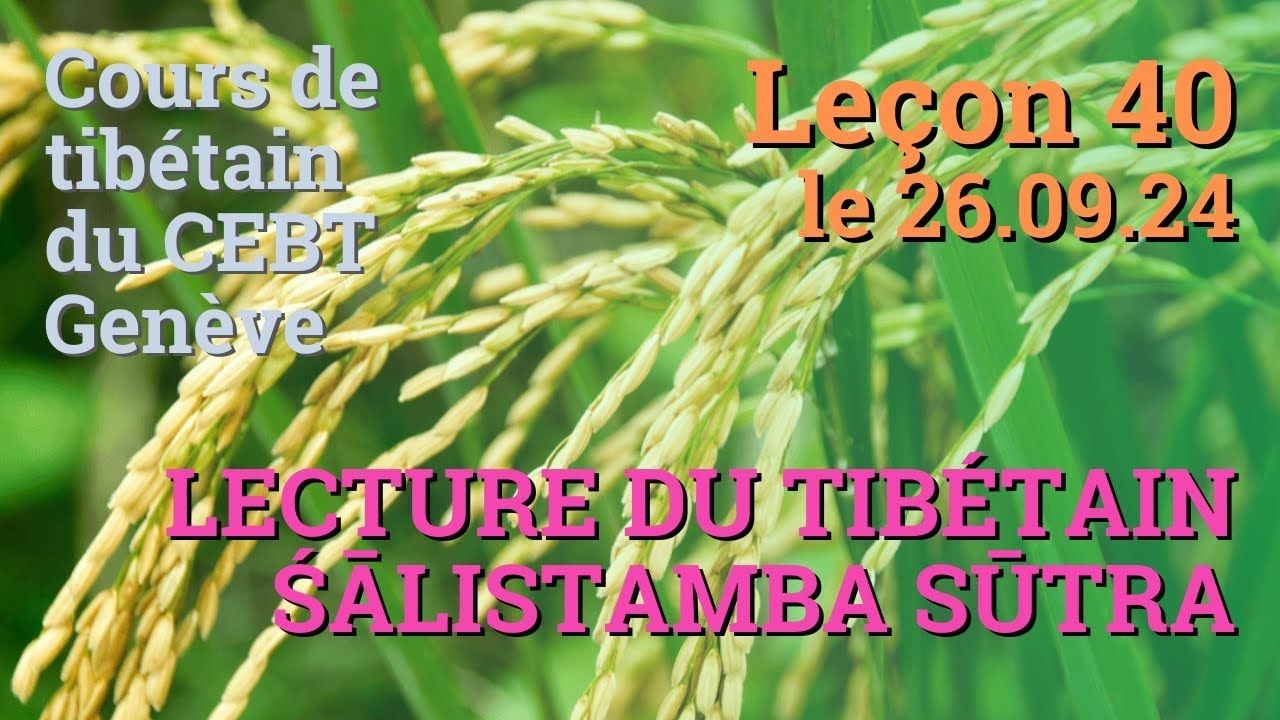 Cours de tibétain ”pousse de riz” -  leçon 40, le 15.10.24