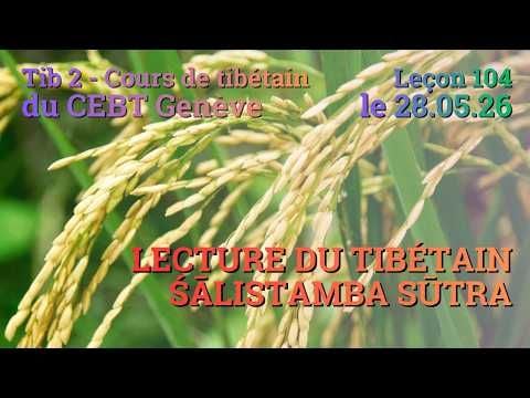 Tib 2 - Cours de tibétain ”pousse de riz” -  leçon 104, le 28.05.26