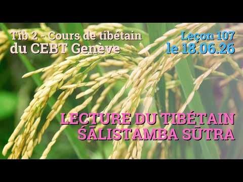Tib 2 - Tibetan Course "Rice Sprout" - Lesson 107, 06/26/18