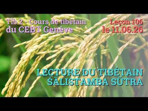Tib 2 - Tibetan Course "Rice Sprout" - Lesson 106, 06/11/26