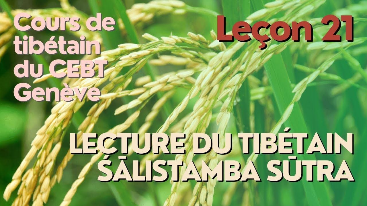 Cours de tibétain ”pousse de riz” - leçon 21
