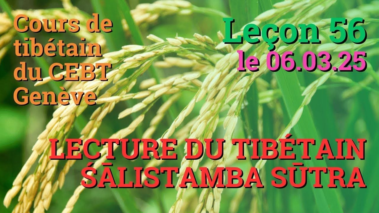 Cours de tibétain ”pousse de riz” - leçon 56, le 06.03.25