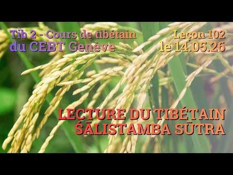 Tib 2 - Cours de tibétain ”pousse de riz” -  leçon 102, le 14.05.26