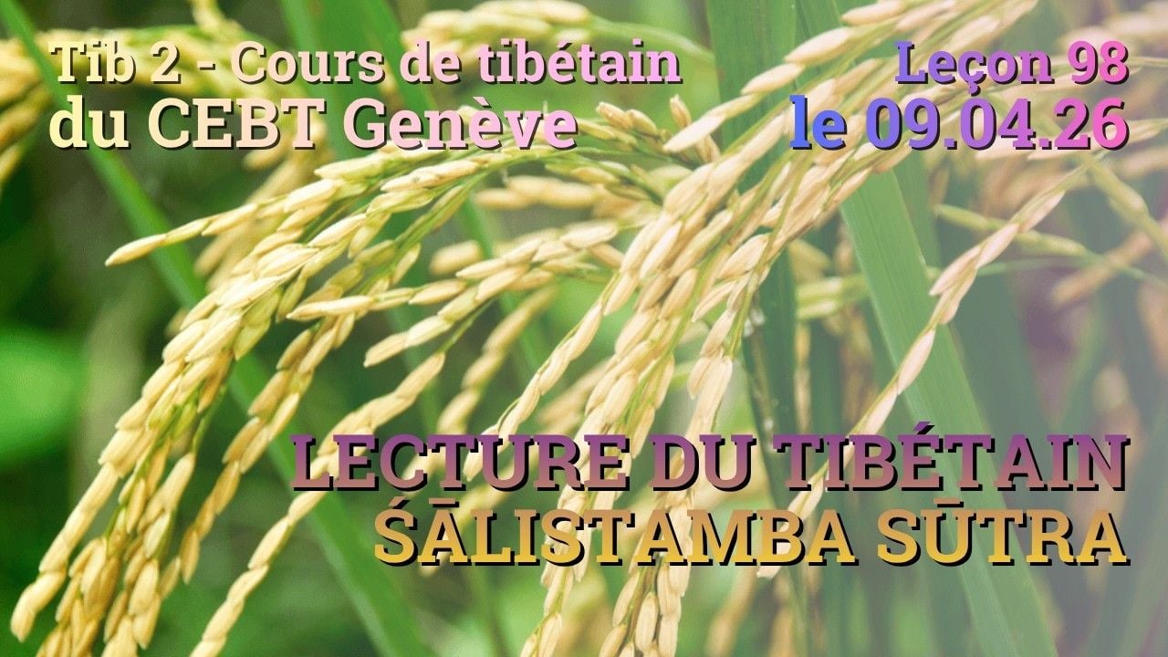 Tib 2 - Cours de tibétain ”pousse de riz” -  leçon 98, le 09.04.26