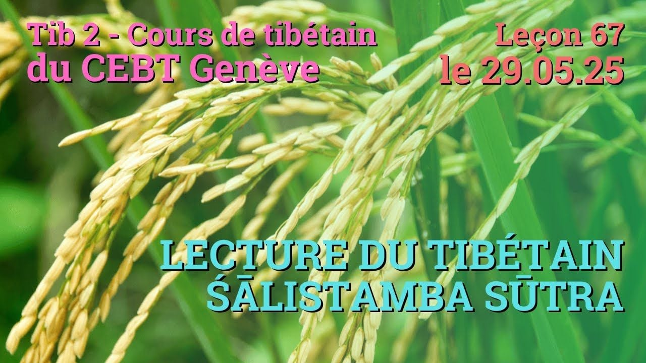 Tib 2 - Cours de tibétain ”pousse de riz” -  leçon 67, le 29.05.25