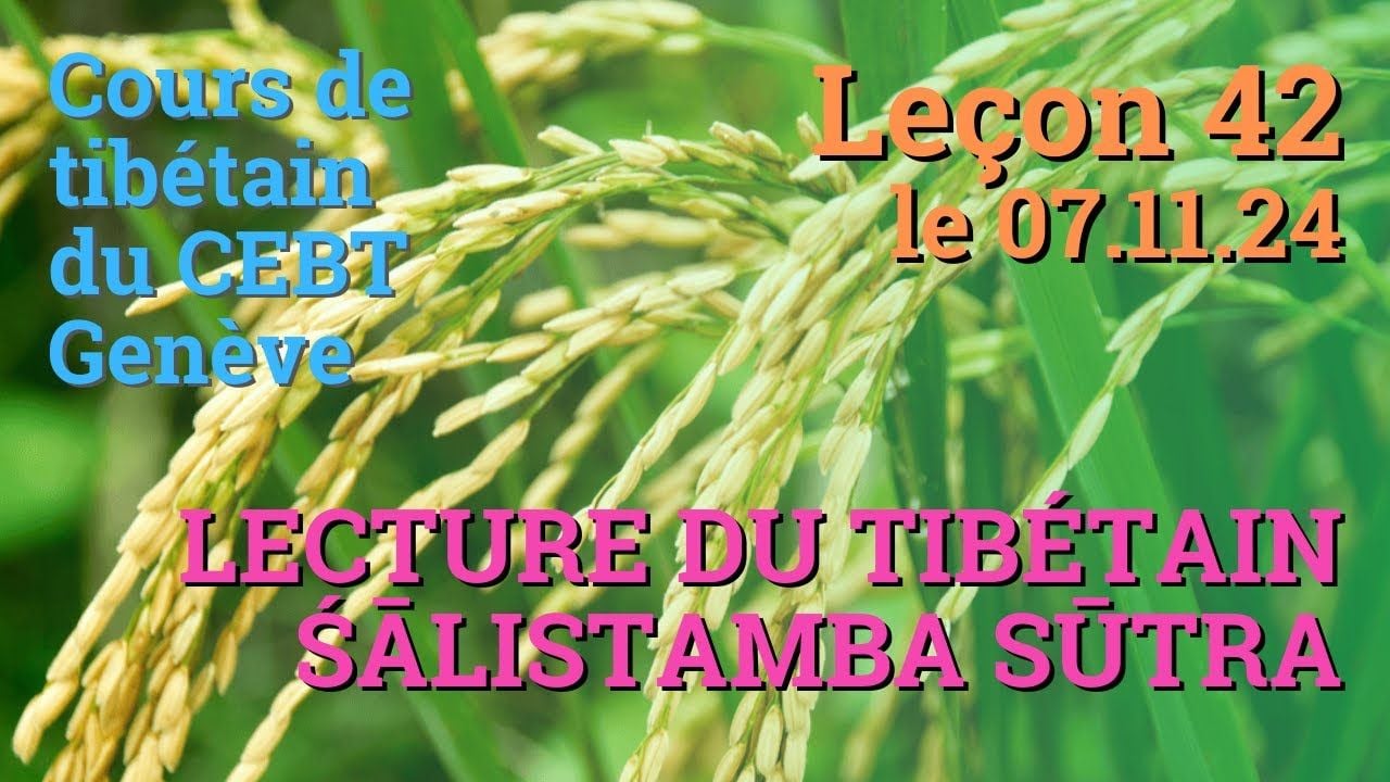 Cours de tibétain ”pousse de riz” -  leçon 42, le 07.11.24