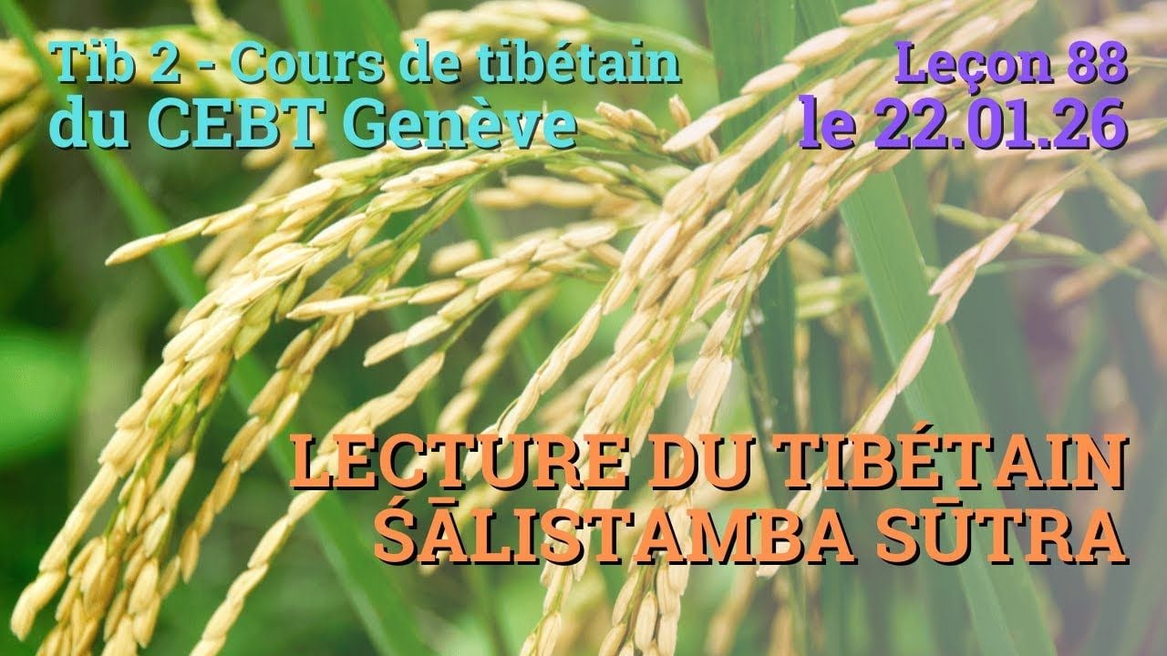 Tib 2 - Cours de tibétain ”pousse de riz” -  leçon 88, le 22.01.26