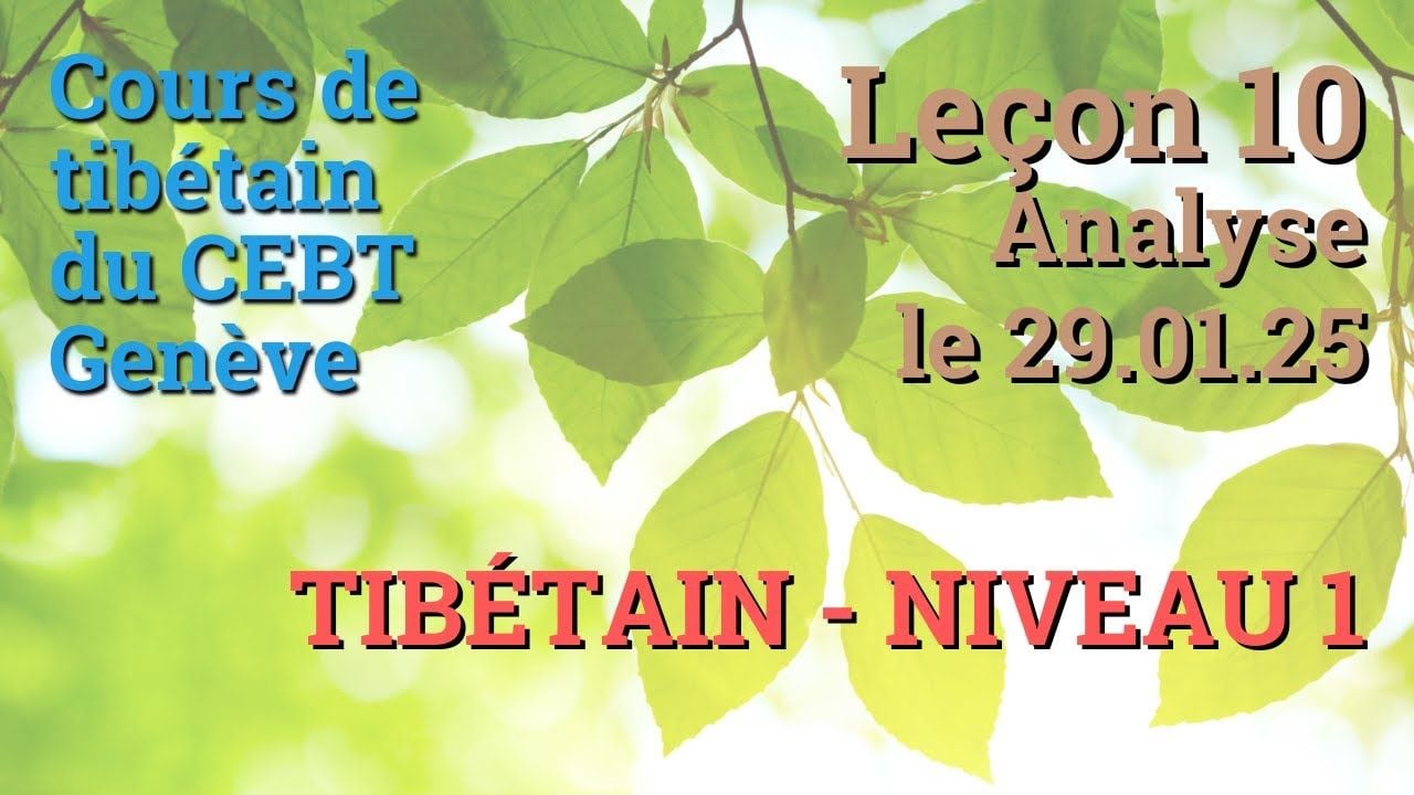 Cours de tibétain débutant leçon 10 - analyse - le 29.01.25