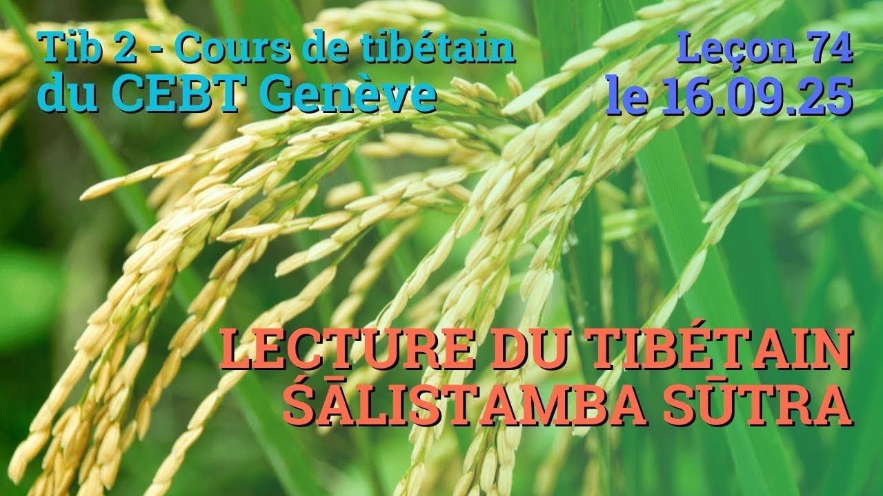 Tib 2 - Cours de tibétain ”pousse de riz” - leçon 74, le 16.09.25