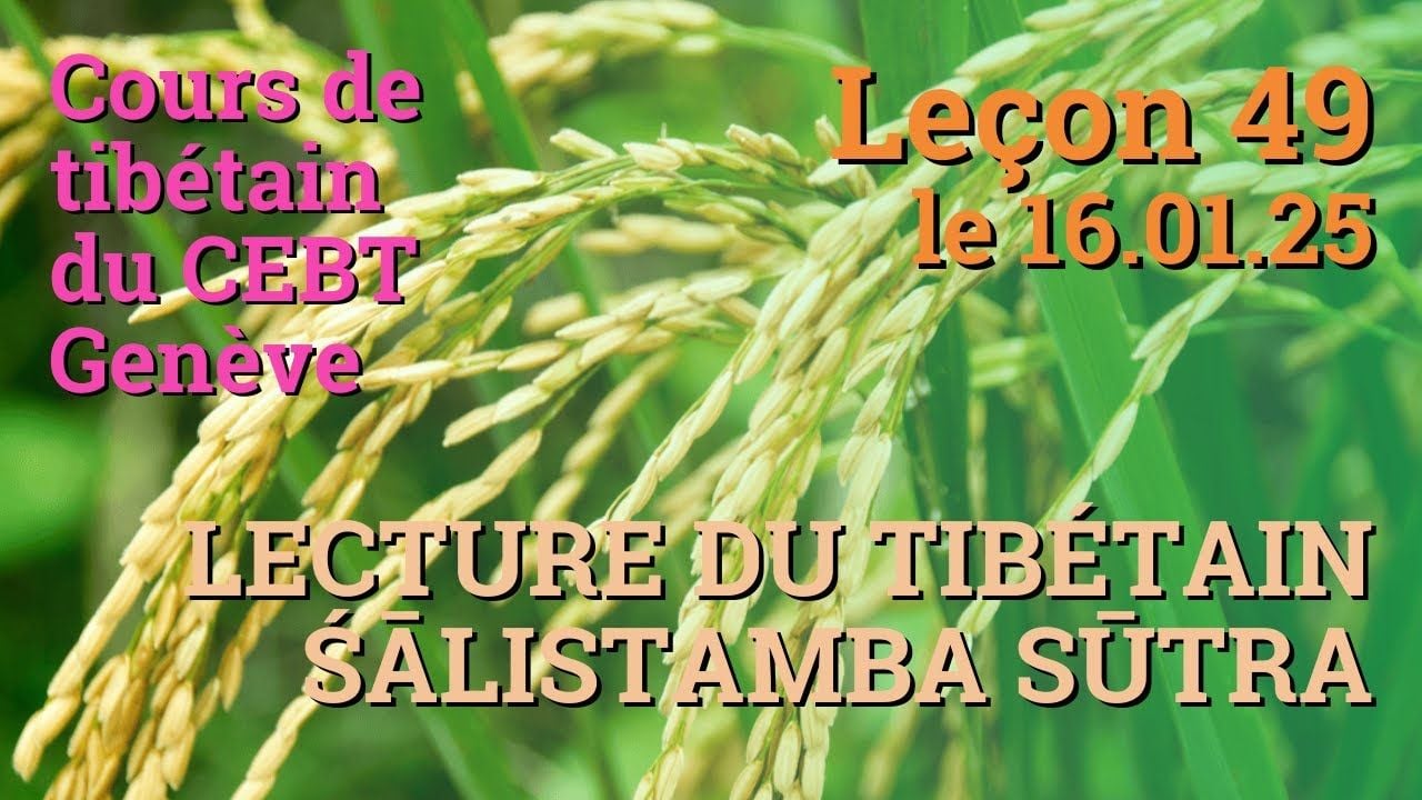Cours de tibétain ”pousse de riz” - leçon 49, le 16.01.25