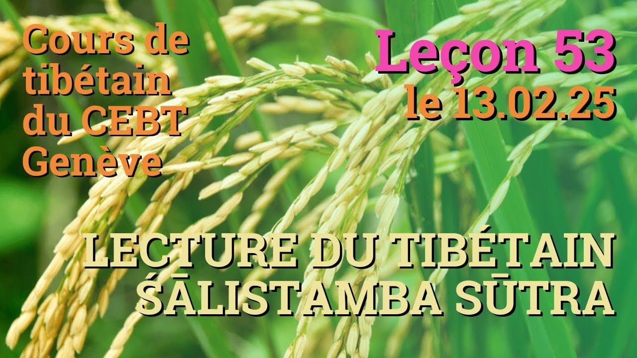 Cours de tibétain ”pousse de riz” - leçon 53, le 13.02.24